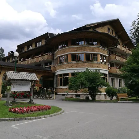 Ribno Alpine Hotel-3