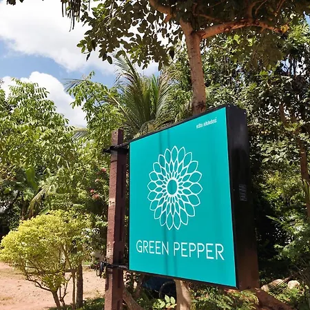 Green Pepper-2