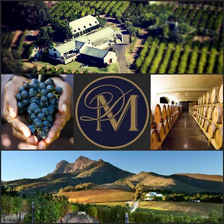 Marianne Wine Estate-2