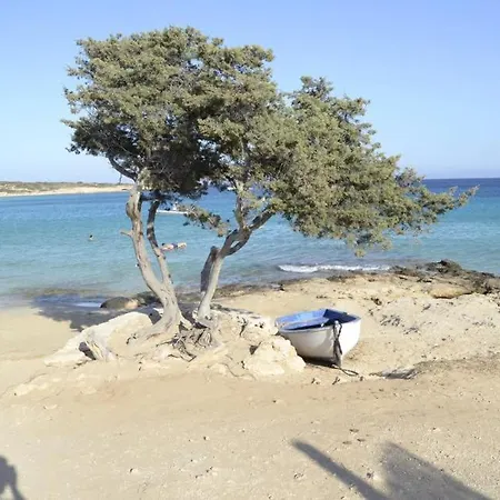 Nektarios Fanos Studios-2