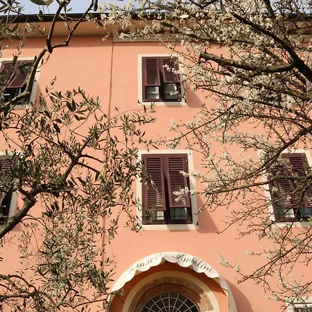 Angelini Dal 1911-2