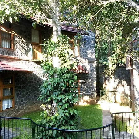 Wildernest-3
