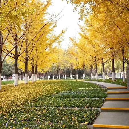 Fraser Suites Nanjing-2