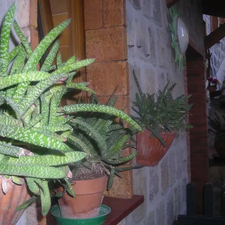 B&B L'Arcobaleno-2