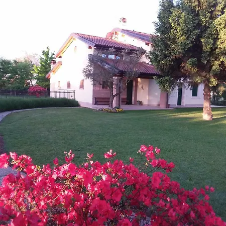 “Al Campo”-2