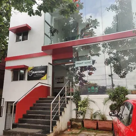 Raccoon Rooms-3
