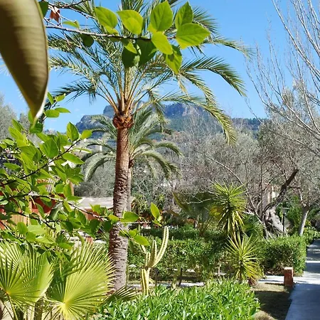 Soller Garden-3
