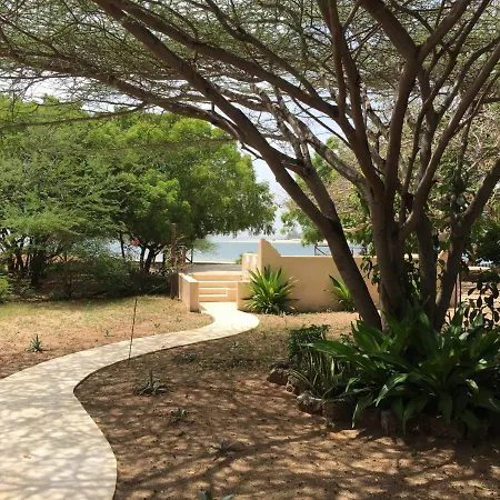 Mangrove House-2