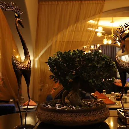 The Purple Leaf Hotels-2