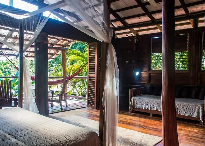 Funky Monkey Lodge