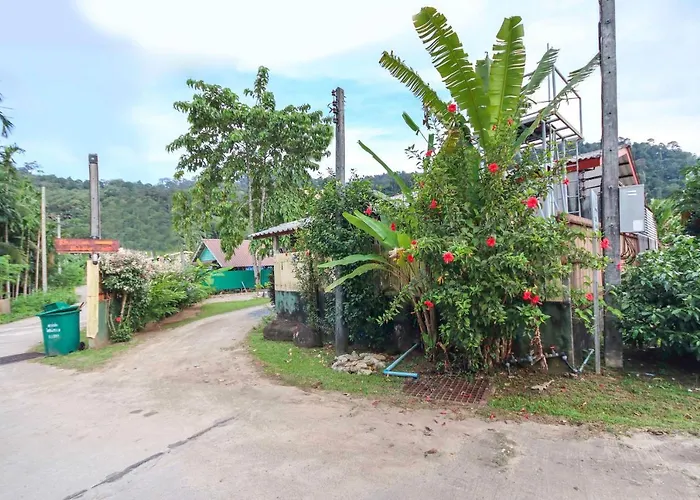Oyo 75312 Banana Lodge