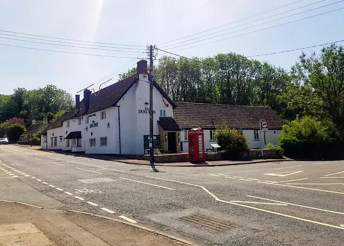 The Dog Inn