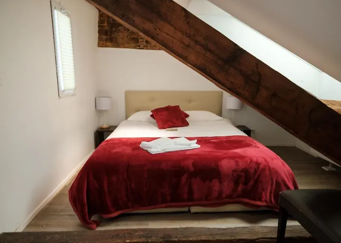 Hotel Du Raisin Lausanne