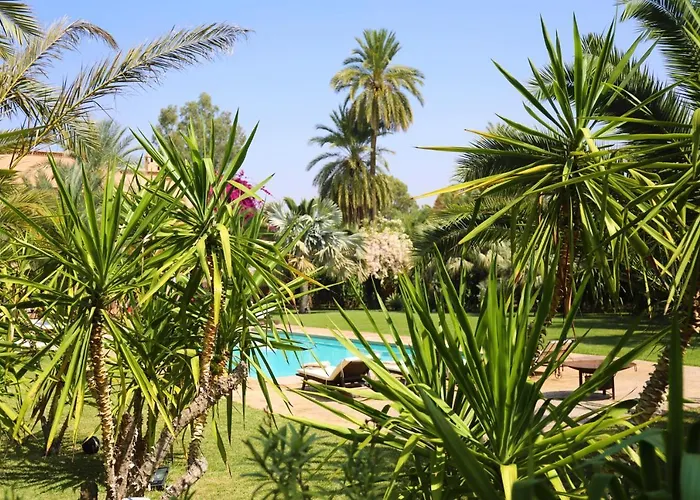 Villa Le Perroquet Bleu Marrakesch