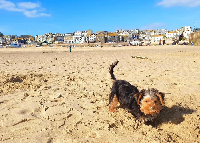 Idyllic Cornish Cottage, Superking Bed, Private Garden Dogs Welcome