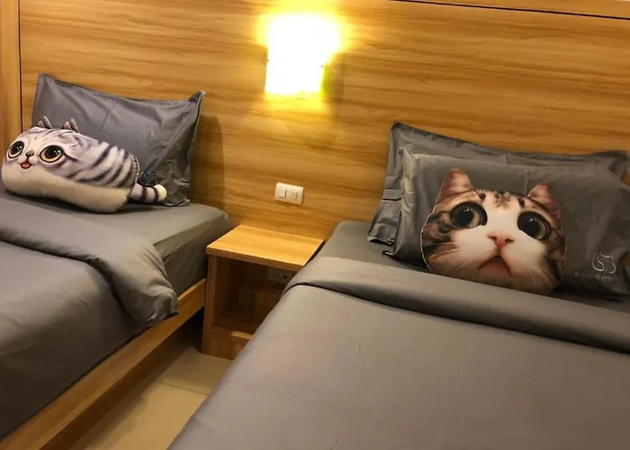 Cat Story Hotel