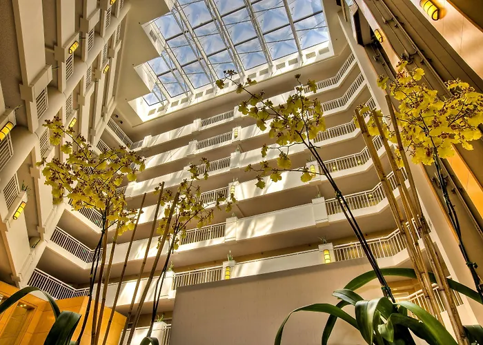 Hilton Santa Monica