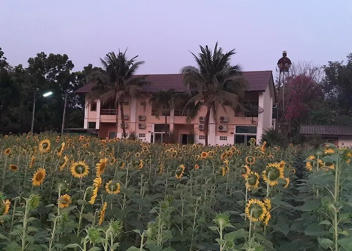 Liam'S Guesthouse Adults Only Chiang Mai