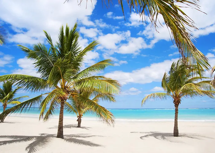 Karibo Punta Cana