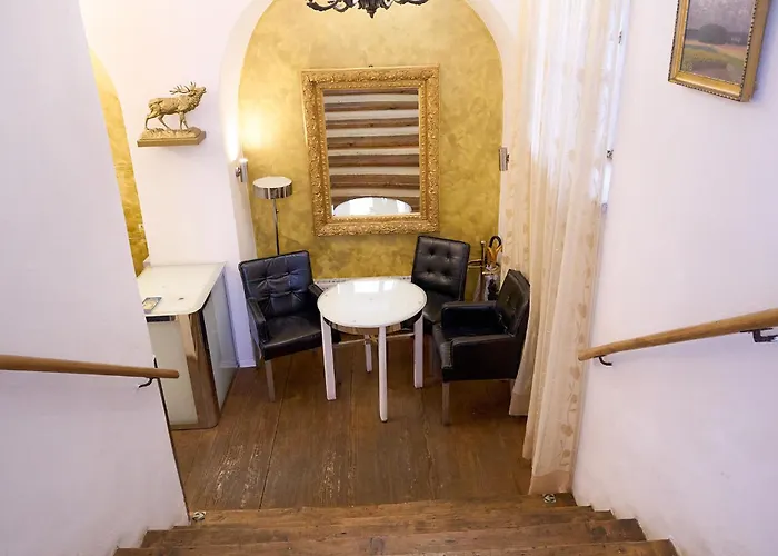 Hotel U Zlateho Jelena Prague