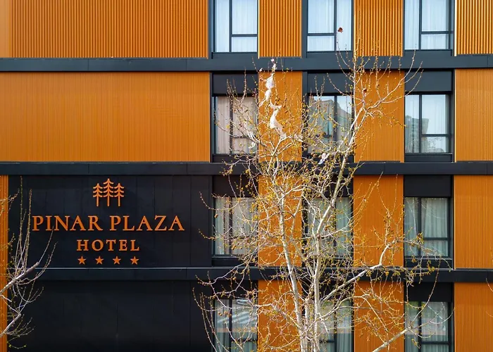 Hotel Pinar Plaza