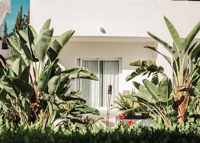 Hotel Boutique & Spa Las Mimosas Ibiza (Adults Only) Sant Antoni de Portmany
