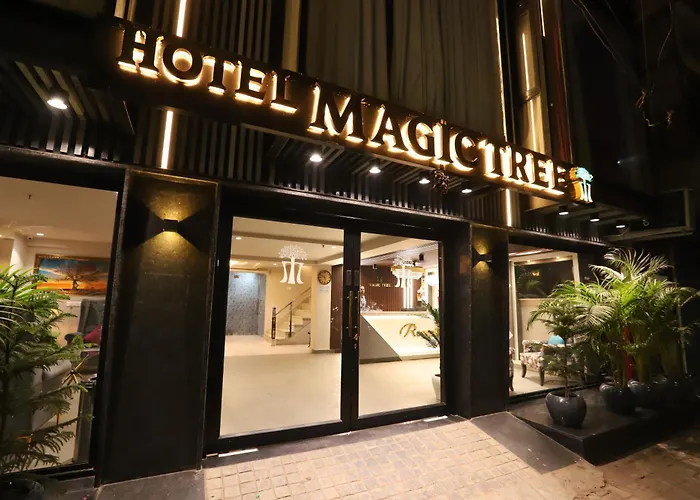 Hotel The Magic Tree - Paharganj New Delhi