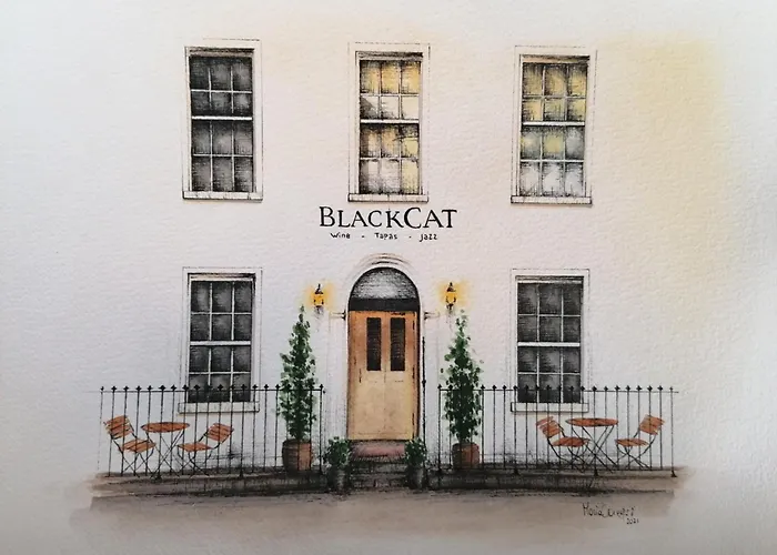 Black Cat Galway