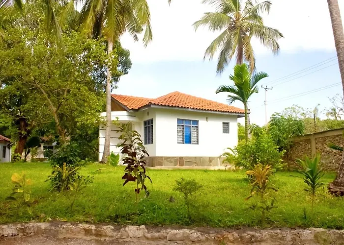 Cycad Palm Diani