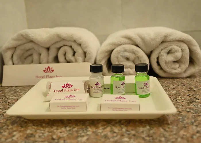 Hotel Plaza Inn, Ajmer