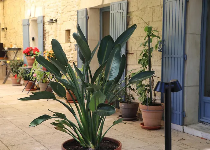 Bed and Breakfast Mas des Cerisiers à Avignon