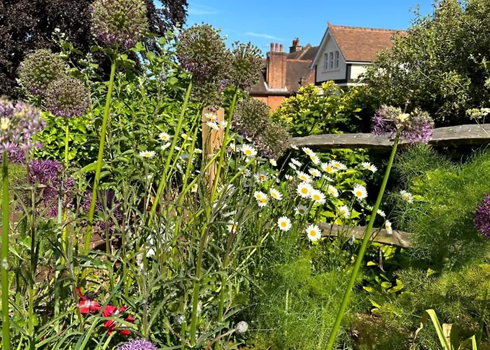 The Knowle At St Leonards Bed & Breakfast