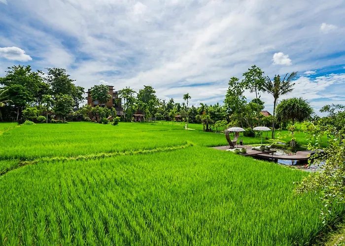 Kajane Yangloni At Ubud