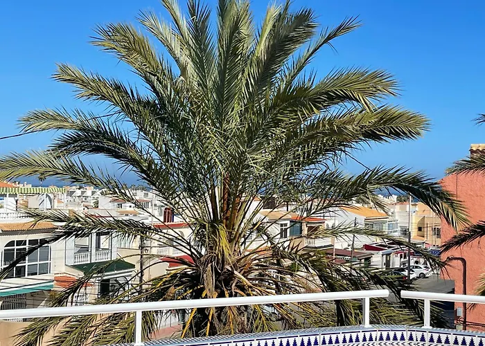 Anna'S Garden Bed and Breakfast Torrevieja