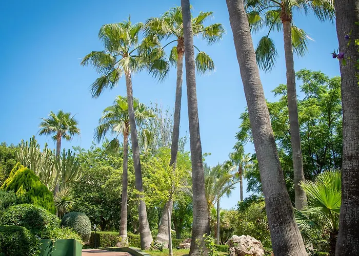 Hotel Club Cala Romani Calas de Mallorca