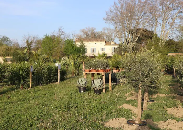 Bed and Breakfast Mas des Cerisiers à Avignon