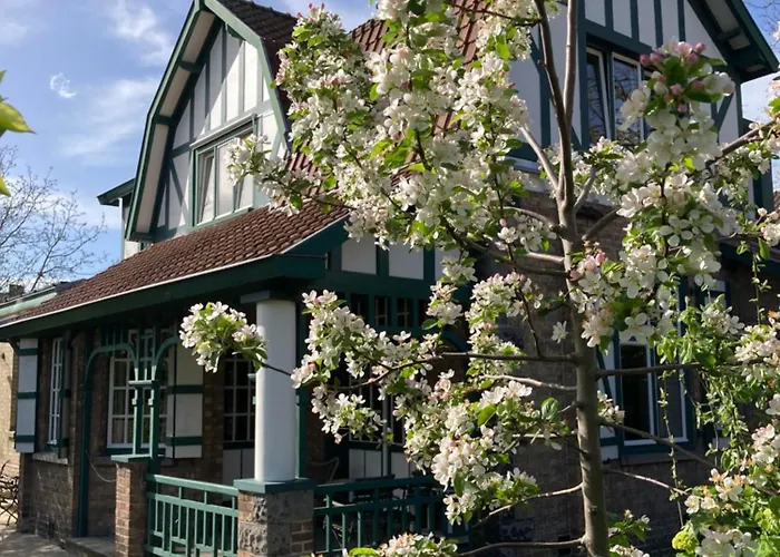 Bed and Breakfast Tree & B Bruges