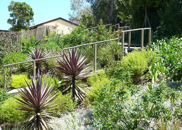 Double Dutch B & B Knysna