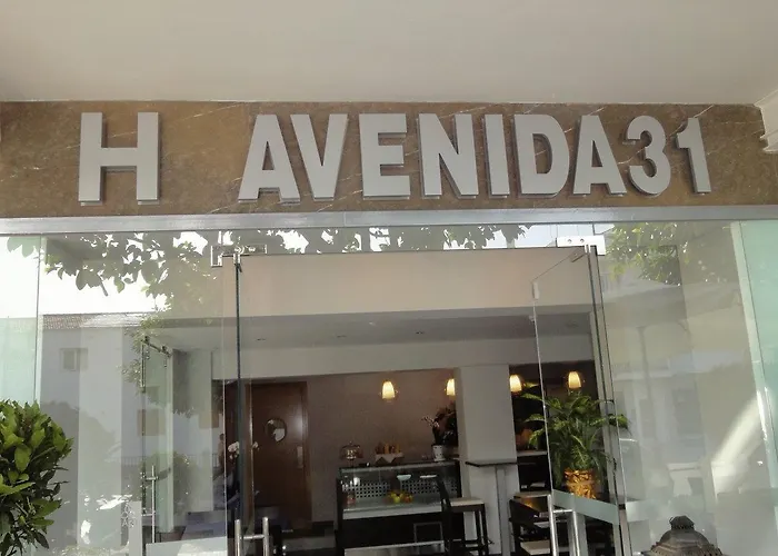 Hotel Avenida 31