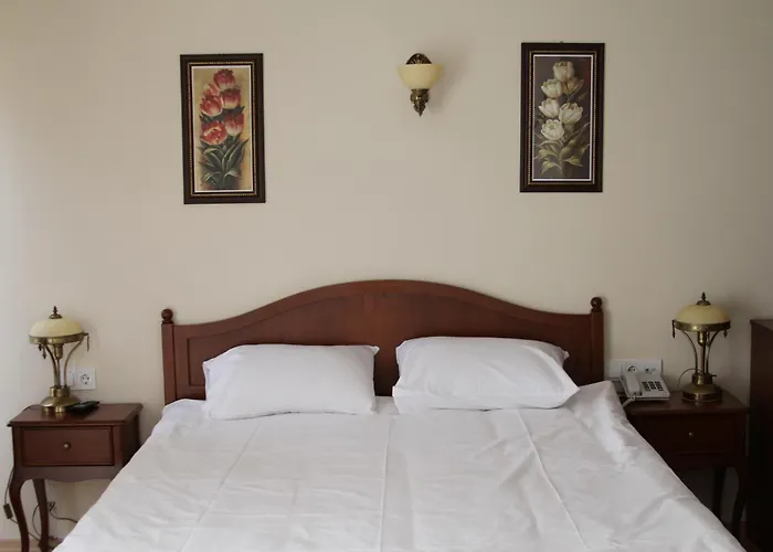 Basileus Hotel Provincia di Provincia di Istanbul