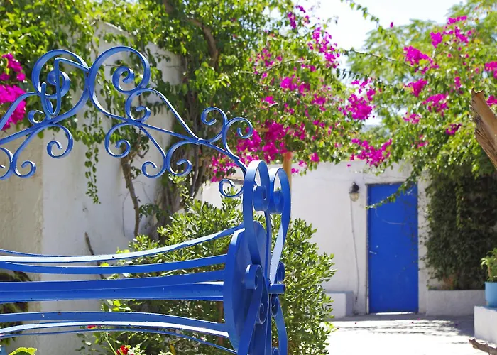 Palm Beach Hotel - Adults Only Kos-stad