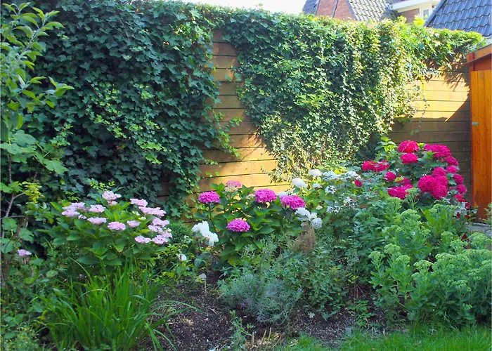 Xaviera'S Bed And Breakfast Amsterdam