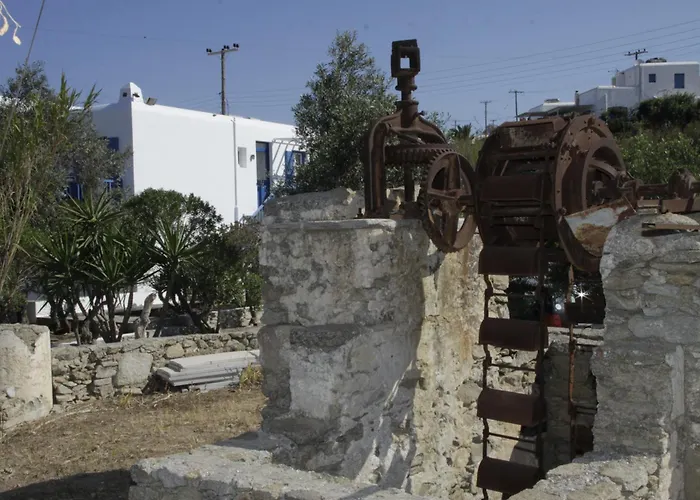 Vienoula'S Garden Hotel Mykonos Town