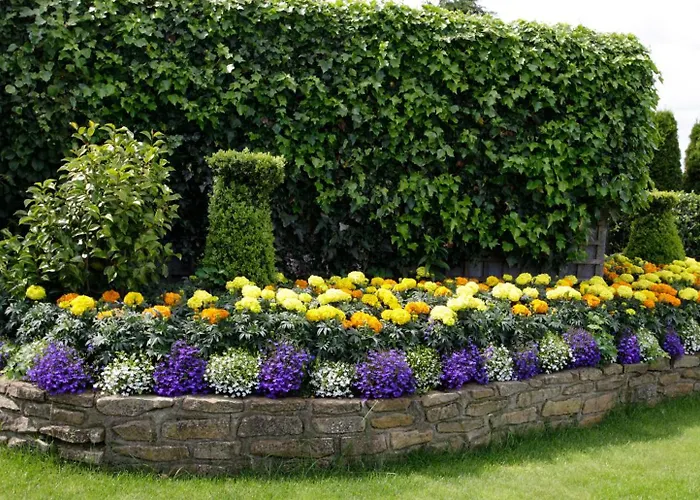 Rosemount B&B Dundalk