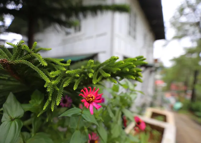 Casa Vallejo Hotel Baguio