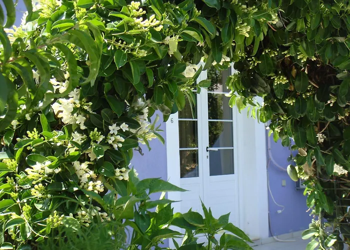 Villa Eliza Skala 