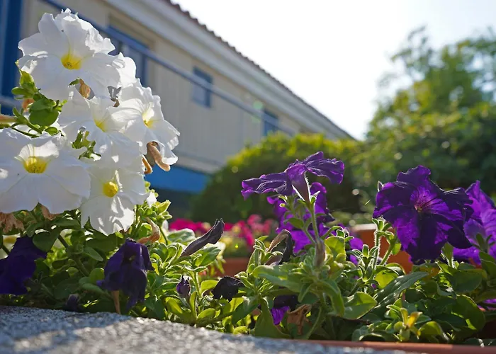 Green Bungalows Hotel Apartments Ayia Napa