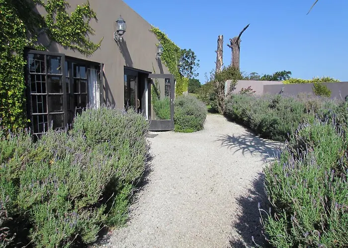 Plett River Lodge