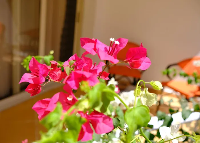 Viking Club Hotel Charm el-Cheikh