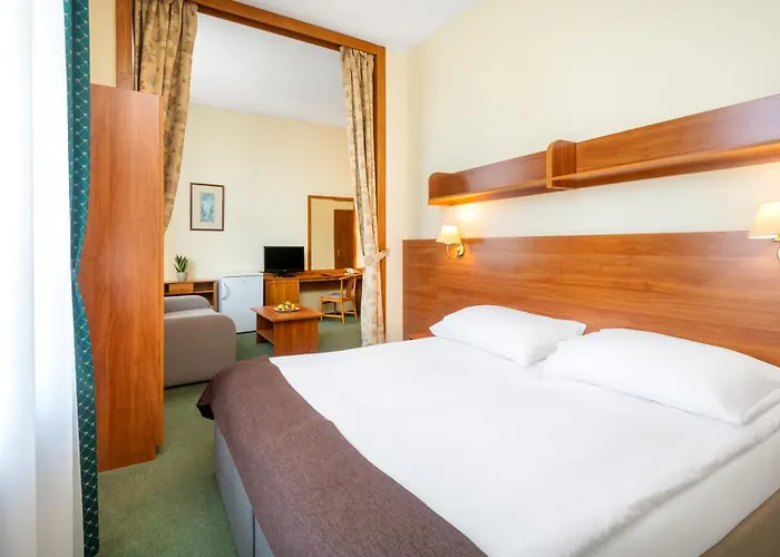 Hotel Millennium Budapest